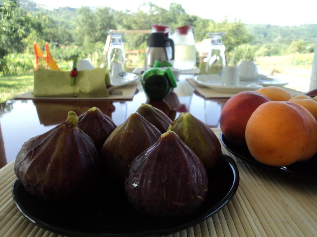 B&B Casa Vacanza Verzellino San Gregorio Magno Ngoại thất bức ảnh